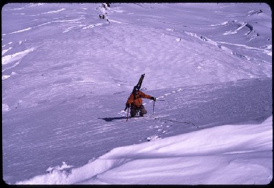 climbing Park Headwall