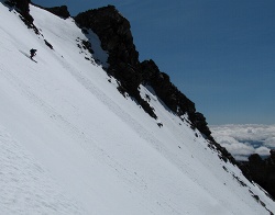 shasta goodness