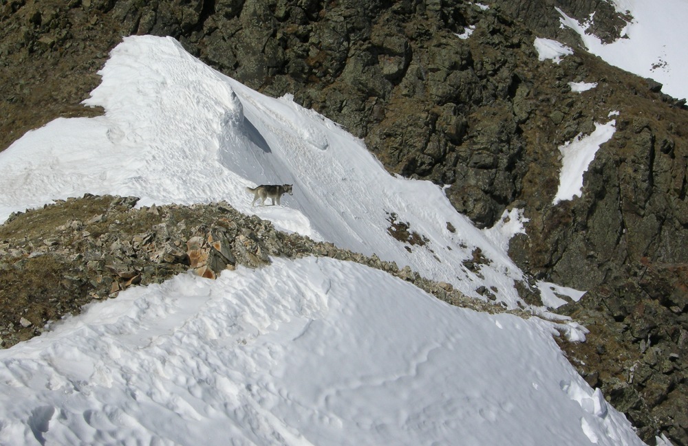 Taos Couloir Ski Fun photos