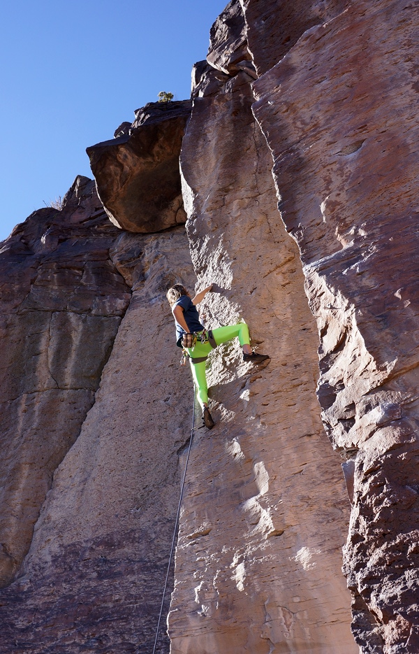 nm-visit, green-w-envy2