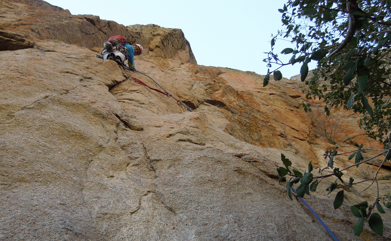 Sandias, Splinted and Screwed photos